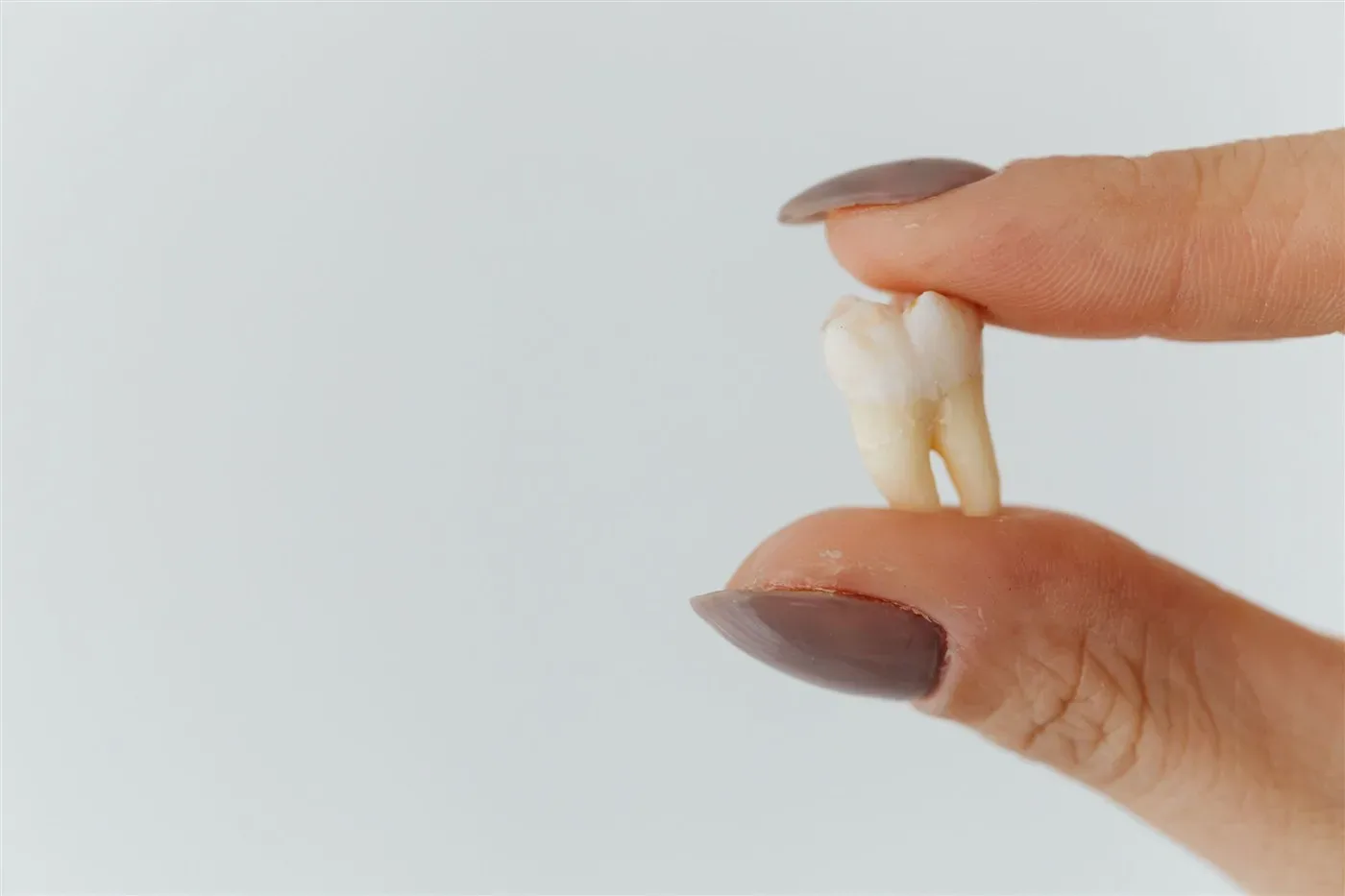 Should you pull a loose baby tooth at home, and when should a child see a dentist?