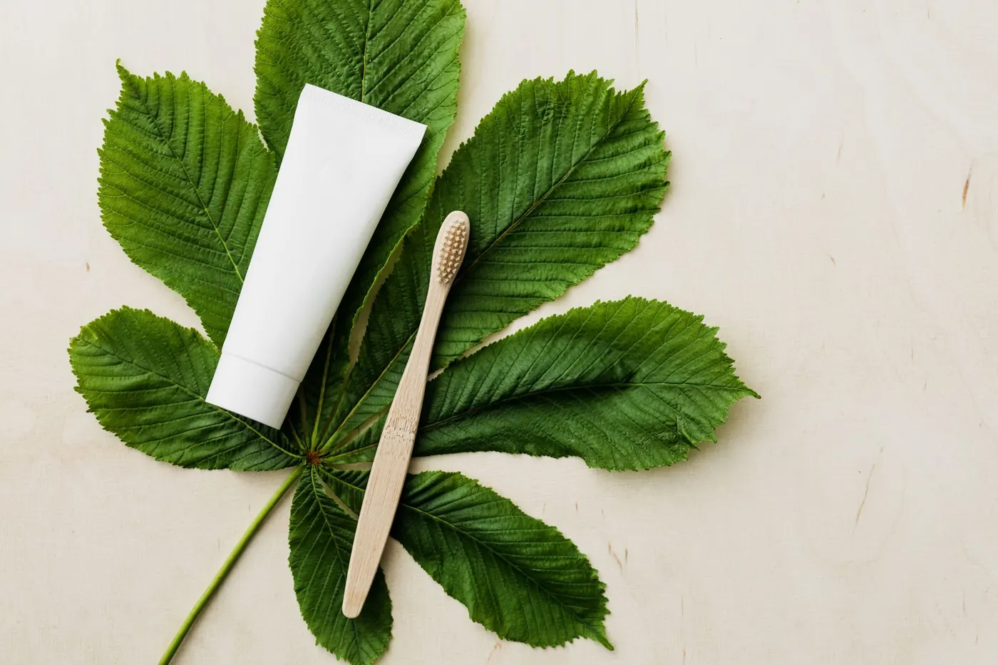Bleeding Gums: What They Mean and When to See a Dentist